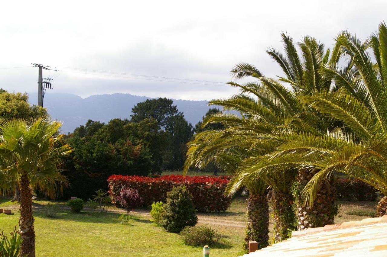 U Re D' Alzettu Apartment Porto-Vecchio (Corsica)